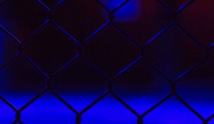 Excitement Builds for UFC 306: Noche UFC at The Sphere in Las Vegas