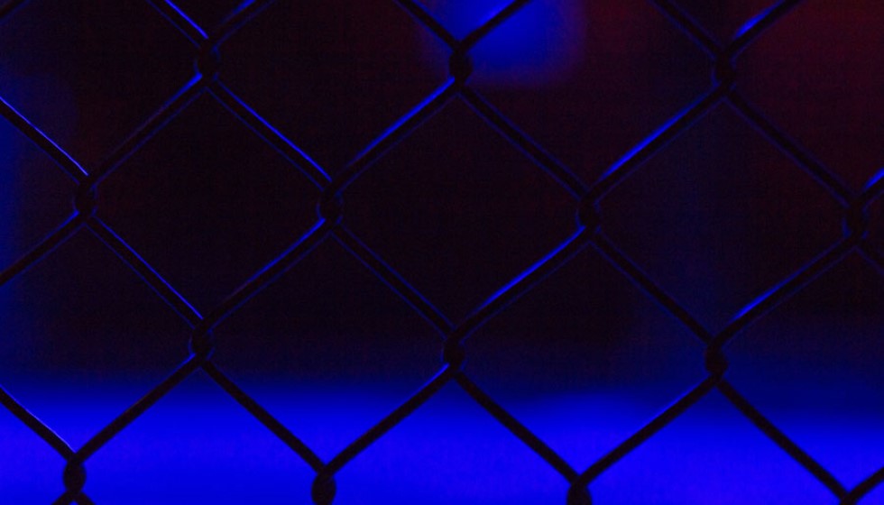 The Thrill of Fight Night Betting: A Guide for Combat Sports Fans